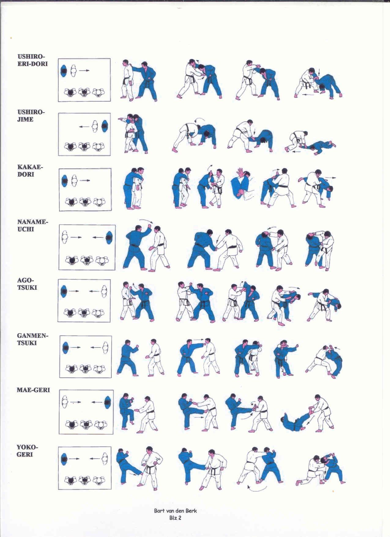 Basic jiu jitsu techniques pdf